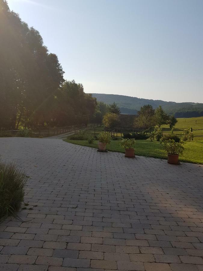 Bársonyberek vendégház Bakony Jásd Exterior foto