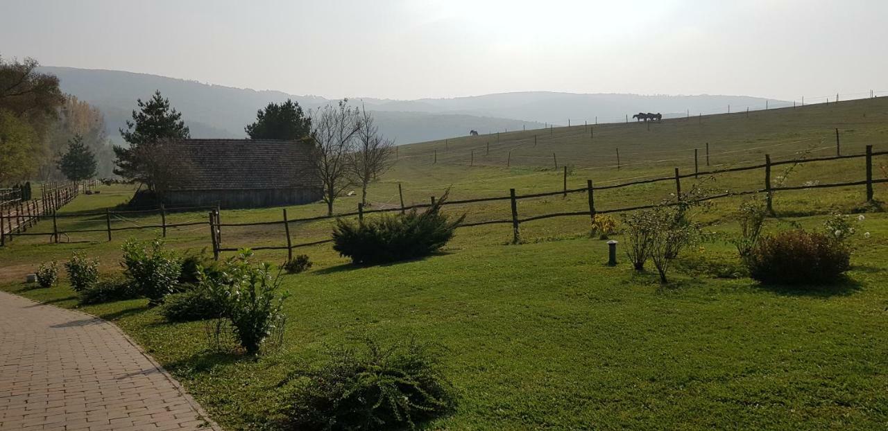 Bársonyberek vendégház Bakony Jásd Exterior foto