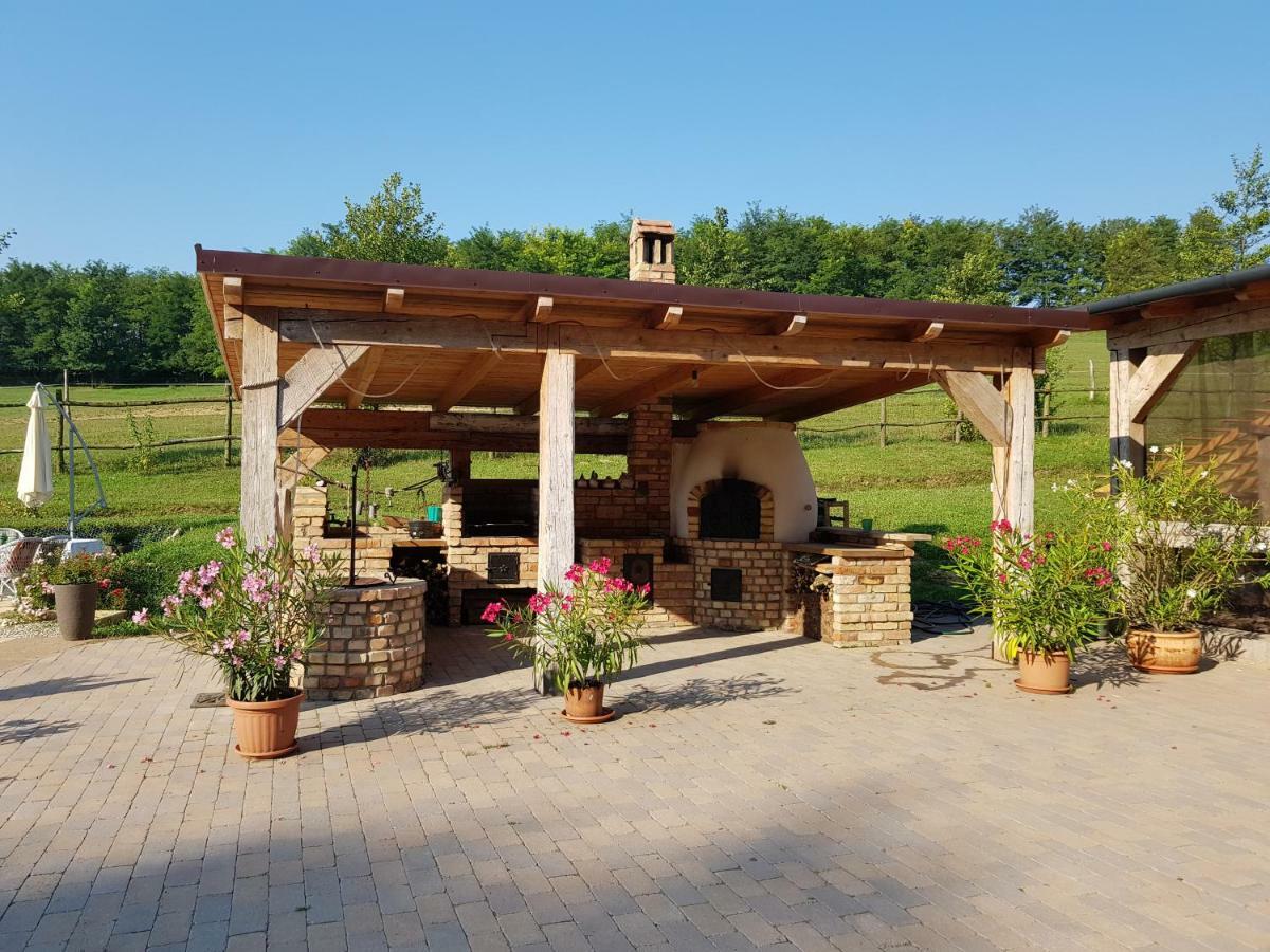 Bársonyberek vendégház Bakony Jásd Exterior foto