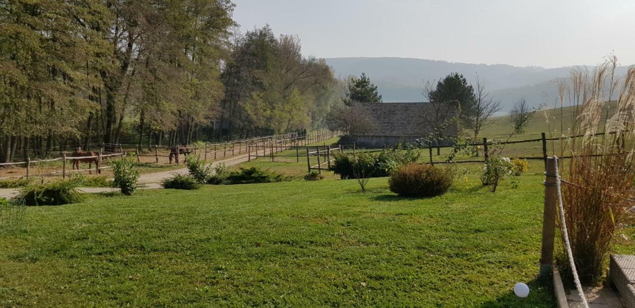 Bársonyberek vendégház Bakony Jásd Exterior foto